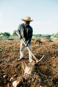 a man holding a hoe in a field